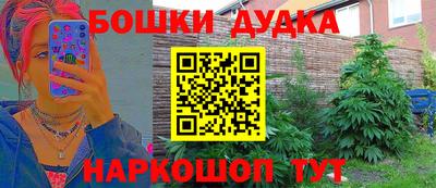 гидра Аша