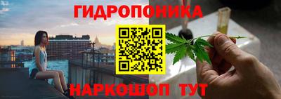 гидра Аша